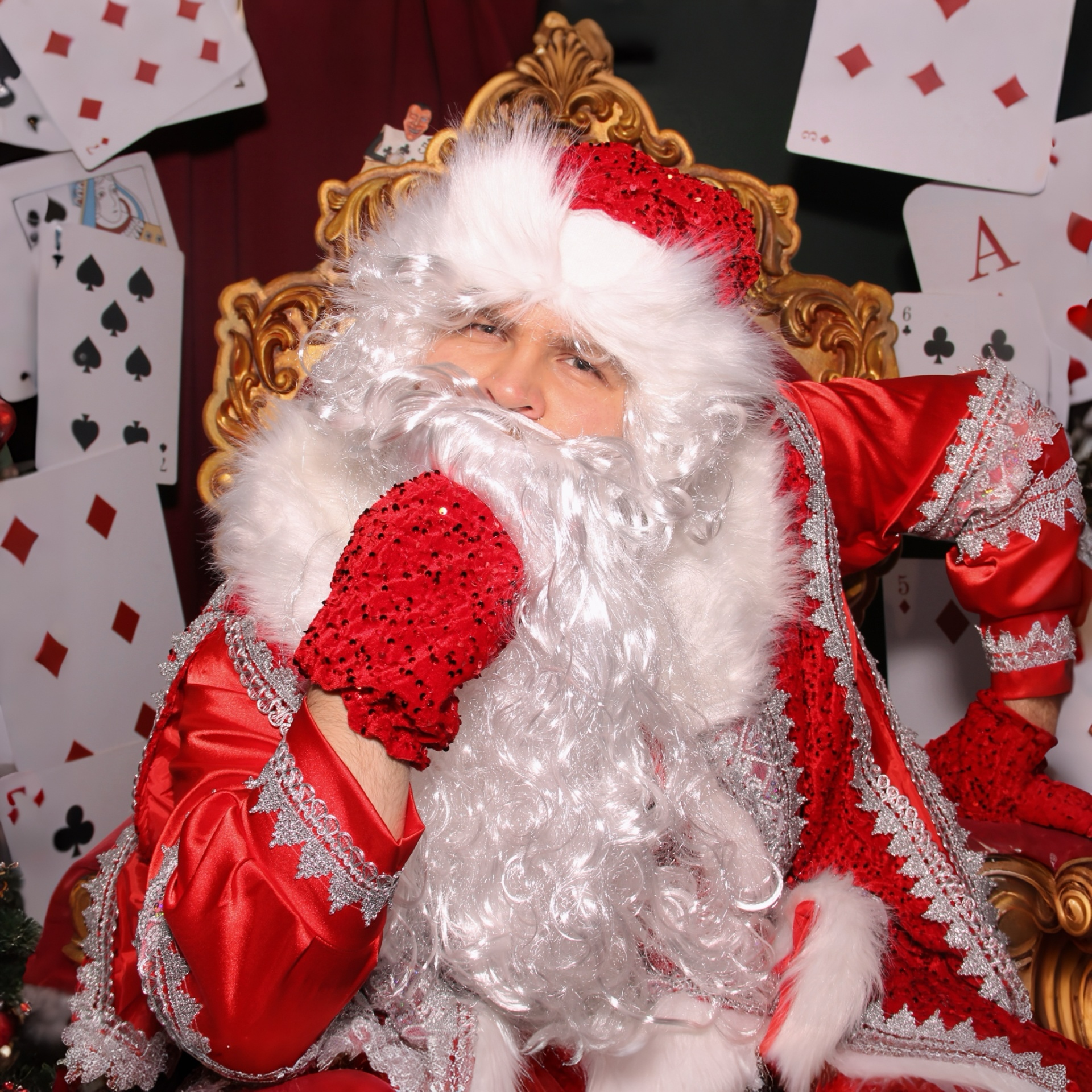 

Билеты на Новогодняя ёлка (Музей магии)