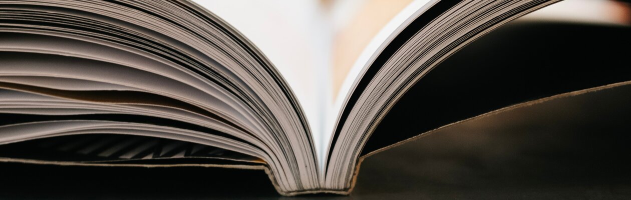 Голос рассказчика. Дмитрий Тихонов и Артём Гаямов. Самая страшная книга