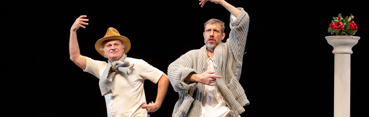 Ночь в театре, или Драматический водевиль