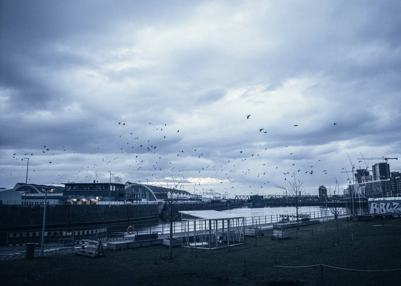 

Билеты на Simple Music Ensemble. Циммер, Арнальдс, Рихтер (Дом Simple Music)