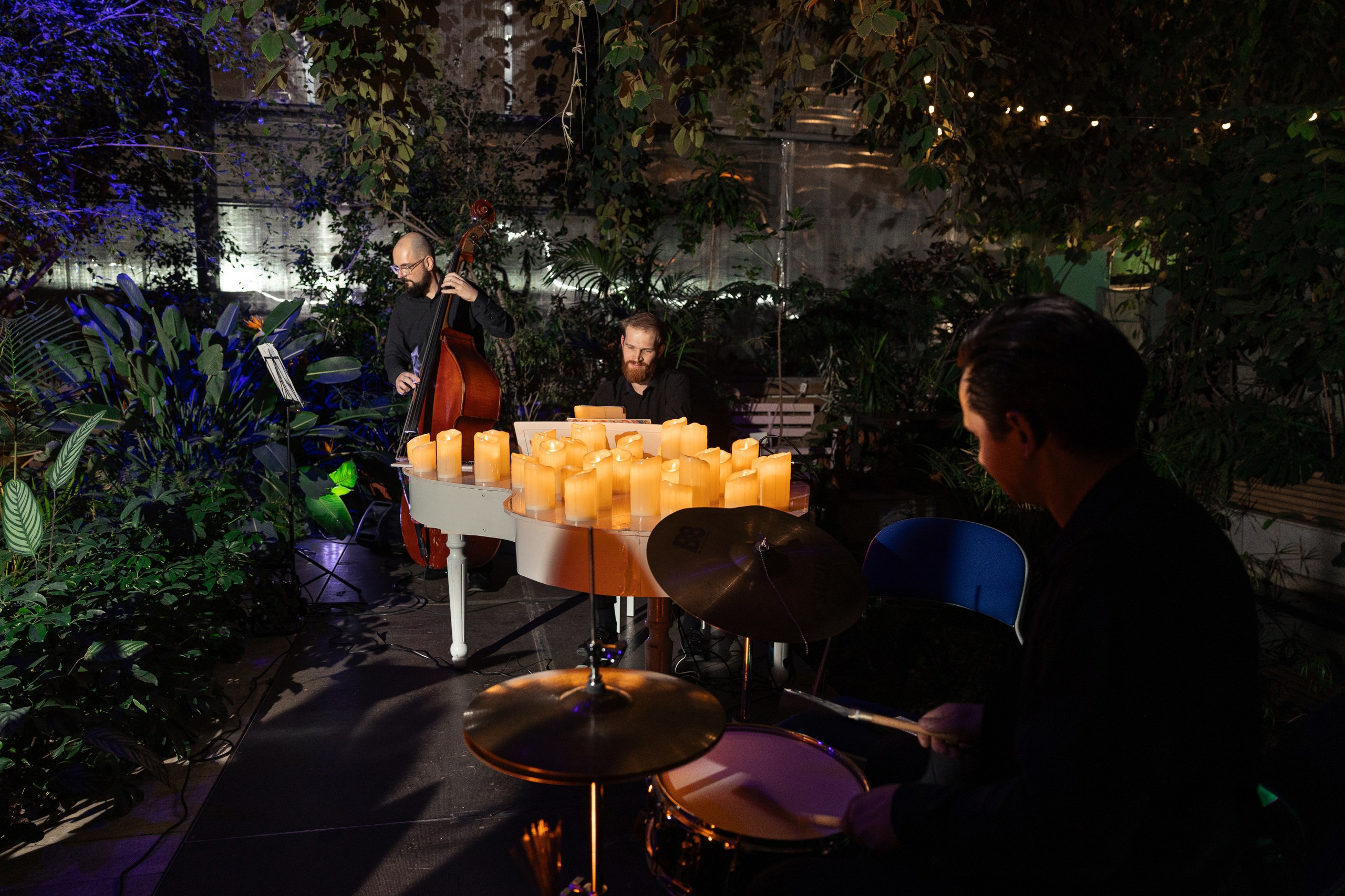 

Билеты на Магия свечей. Лаунж джаз (Оранжерея Таврического сада)