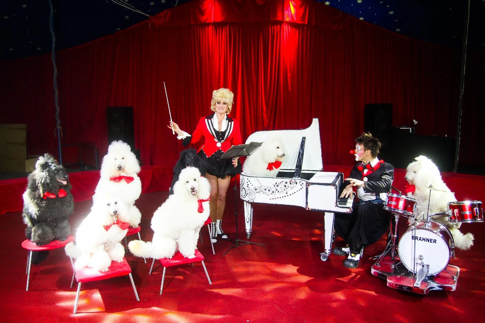 

Билеты на Цирк «Русские мишки» (Цирк-шапито «Каракат»)