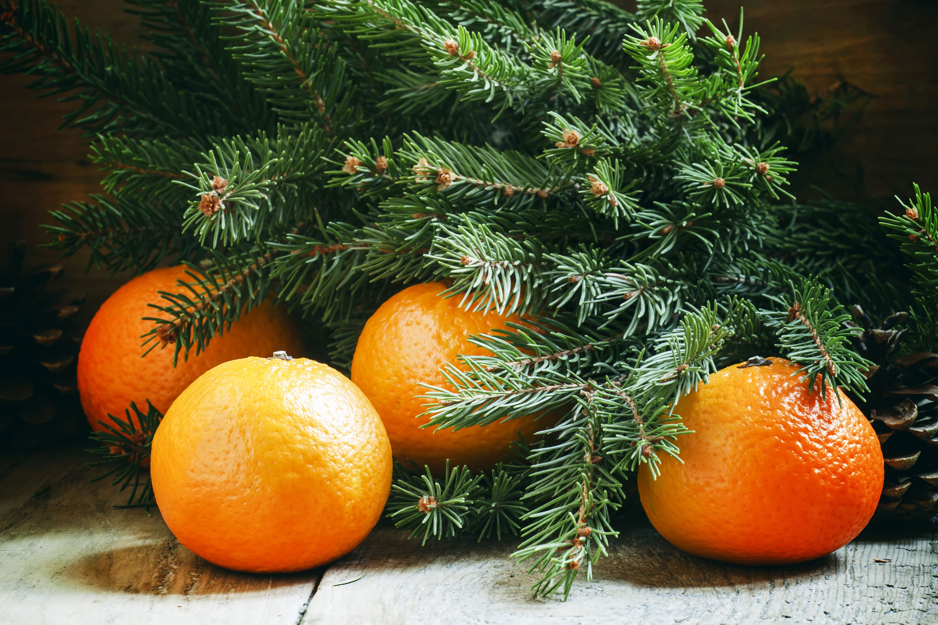 

Билеты на Божий дар (Скарабей)