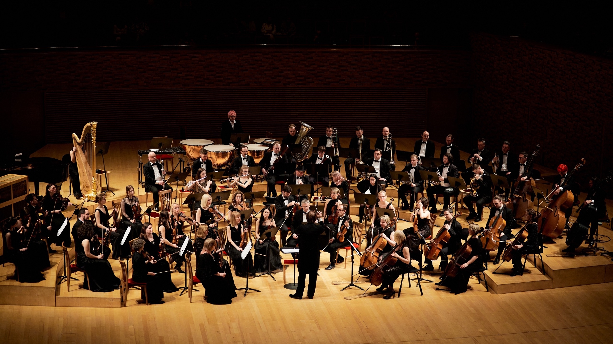 

Билеты на Оркестр «Северная симфония». Памяти Ирины Богачёвой (Концертный зал Мариинского театра)