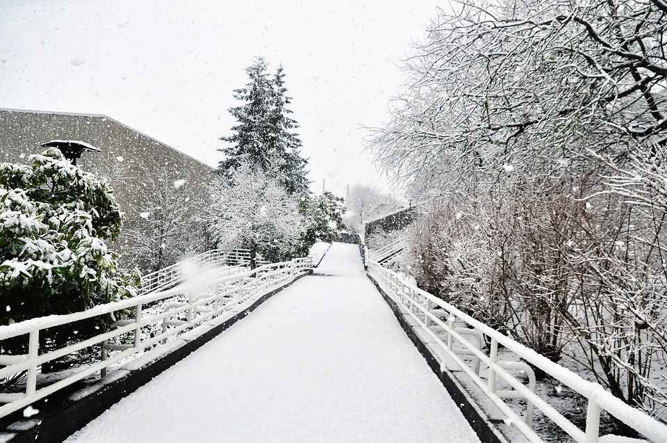 

Билеты на Рождество вокруг света (Фонтан у Большого театра)