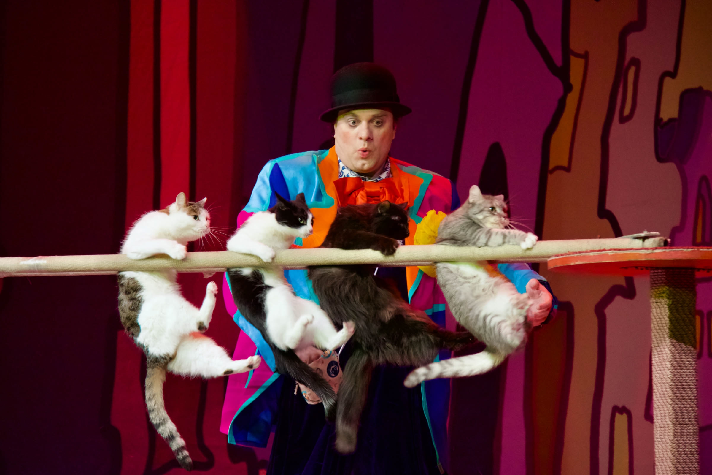 

Билеты на Владимир Куклачёв (Гринн центр)