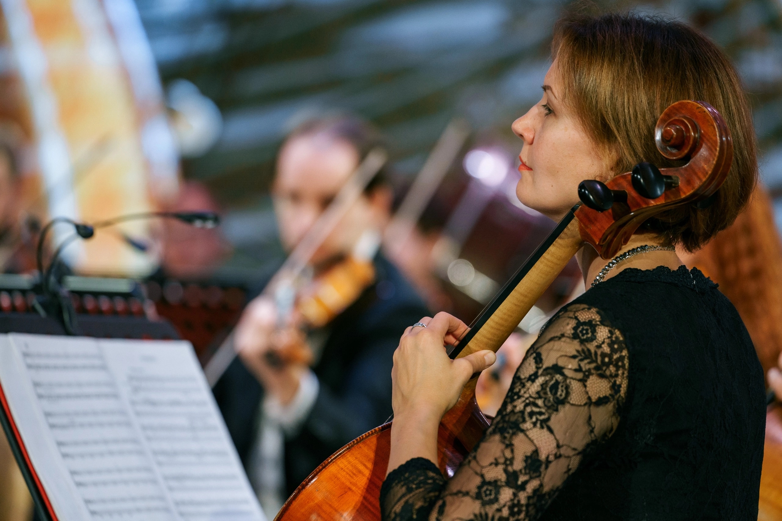 

Билеты на Любовный напиток (Филармония)