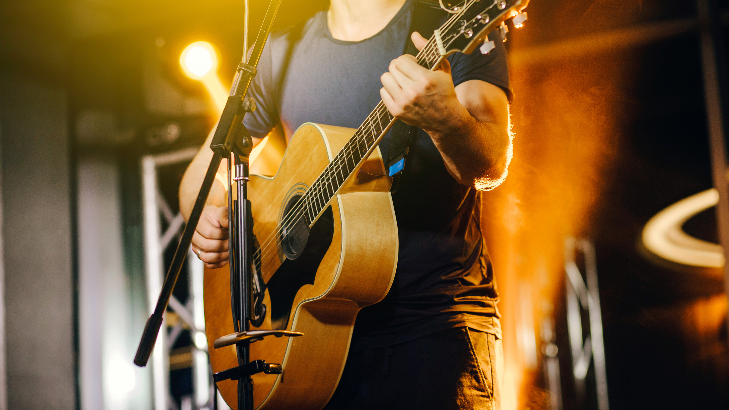 Проект гитарин википедия