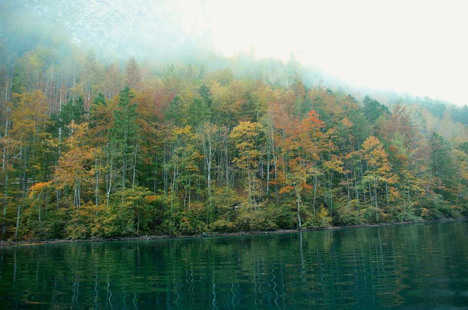 Зелёная планета