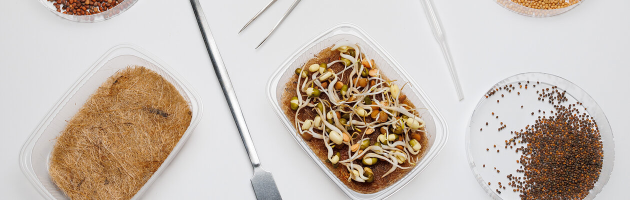 Лаборатория микрозелени