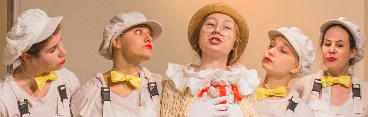 Чудесное путешествие Нильса с дикими гусями