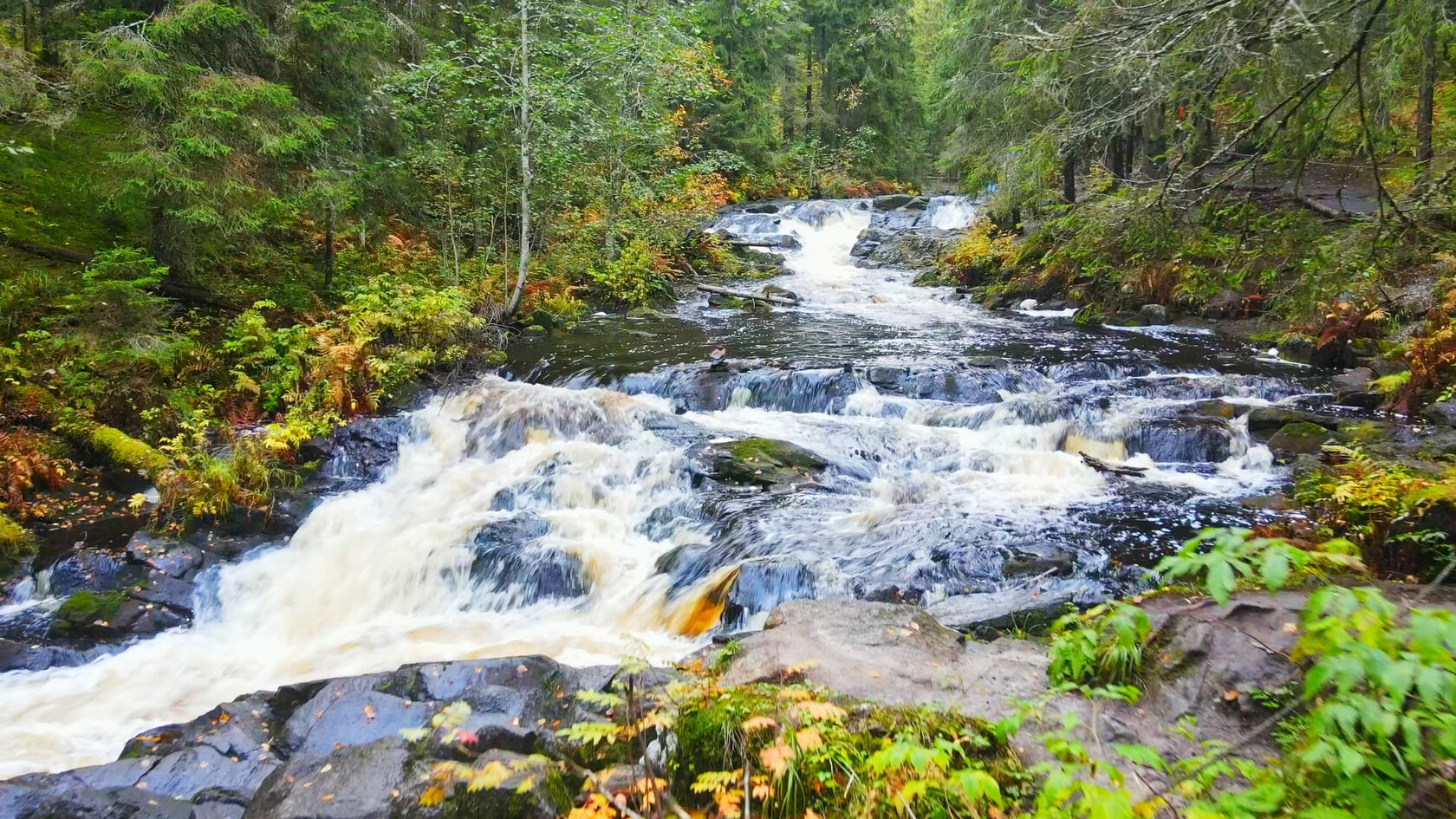

Билеты на Природные сокровища Карелии: четыре водопада и однодневное плавание на ладье среди ладожских шхер (Улица Казанская, 2)