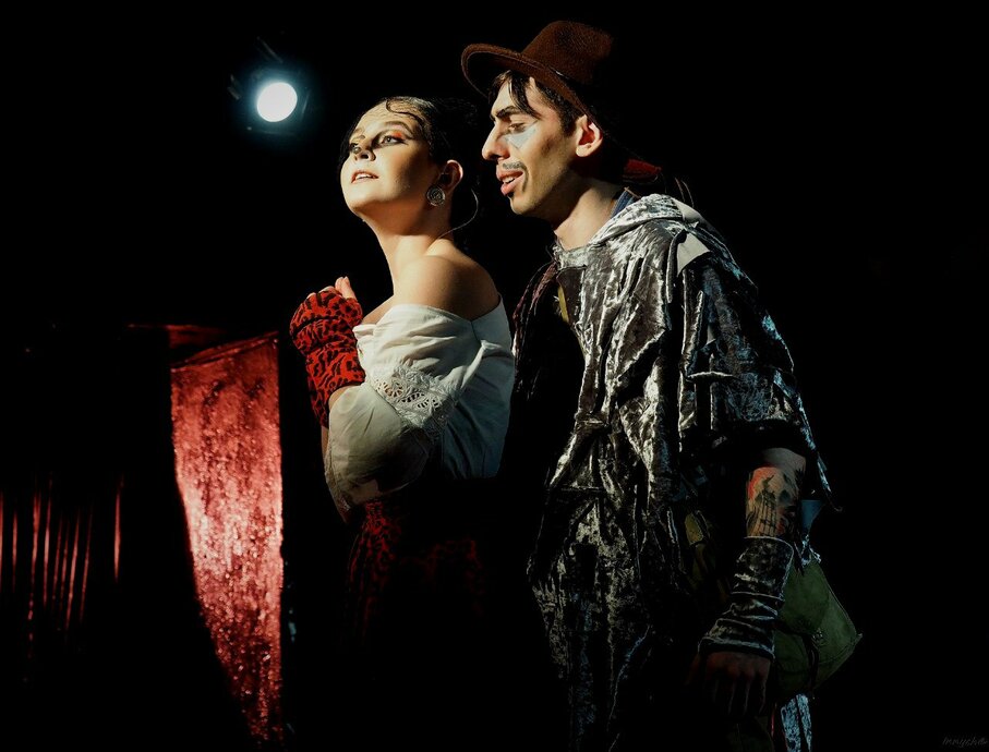 Как цыплёнок семью нашёл