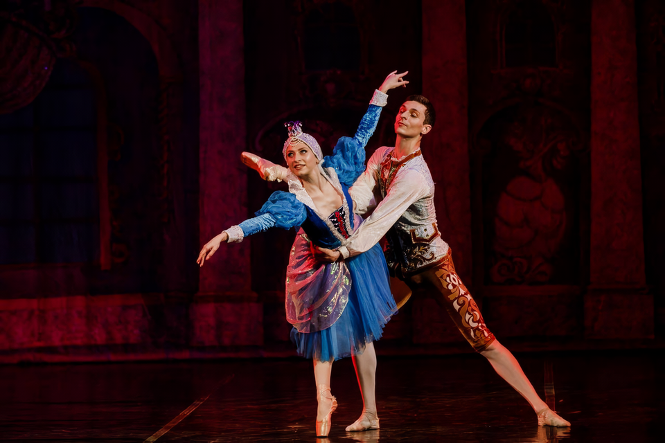 Волшебный сон принца