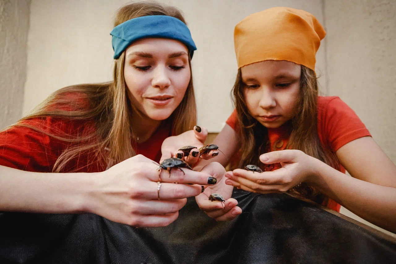 

Билеты на Форт Боярд (Quest Stars | LOCKation на Астраханской)