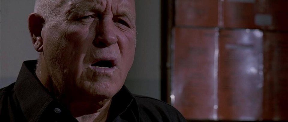 Бешеные псы