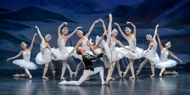 Лебединое озеро