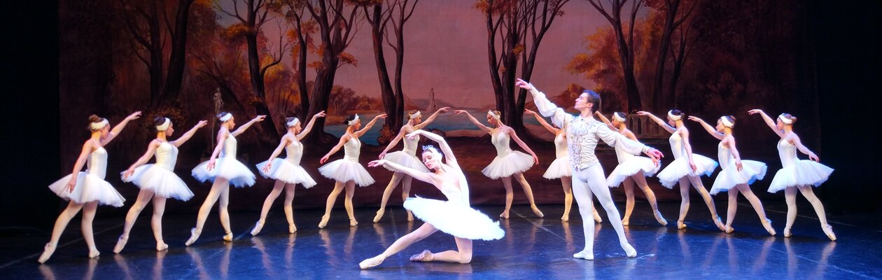 Лебединое озеро