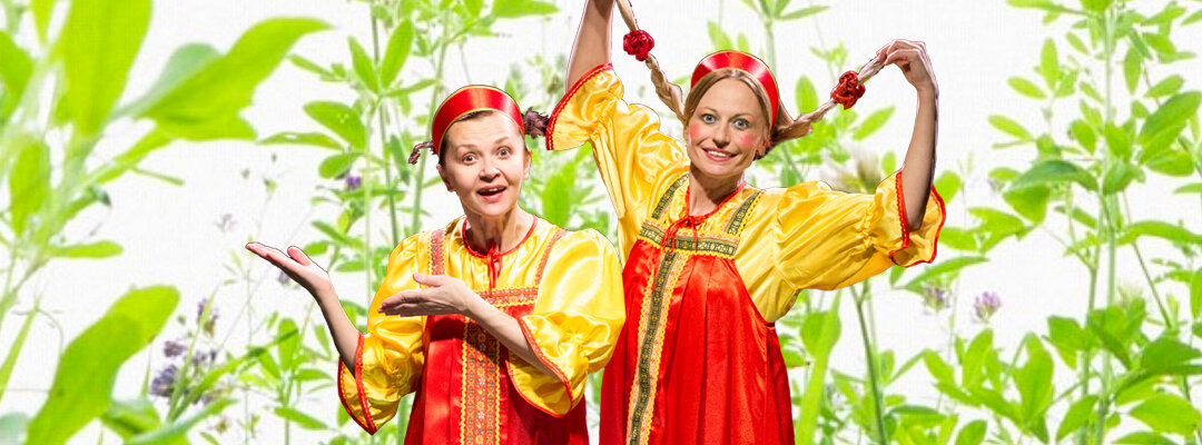 Муха-Цокотуха