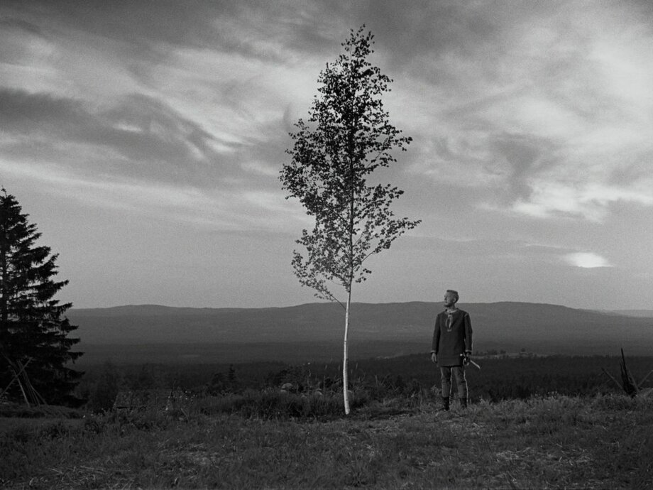 Девичий источник