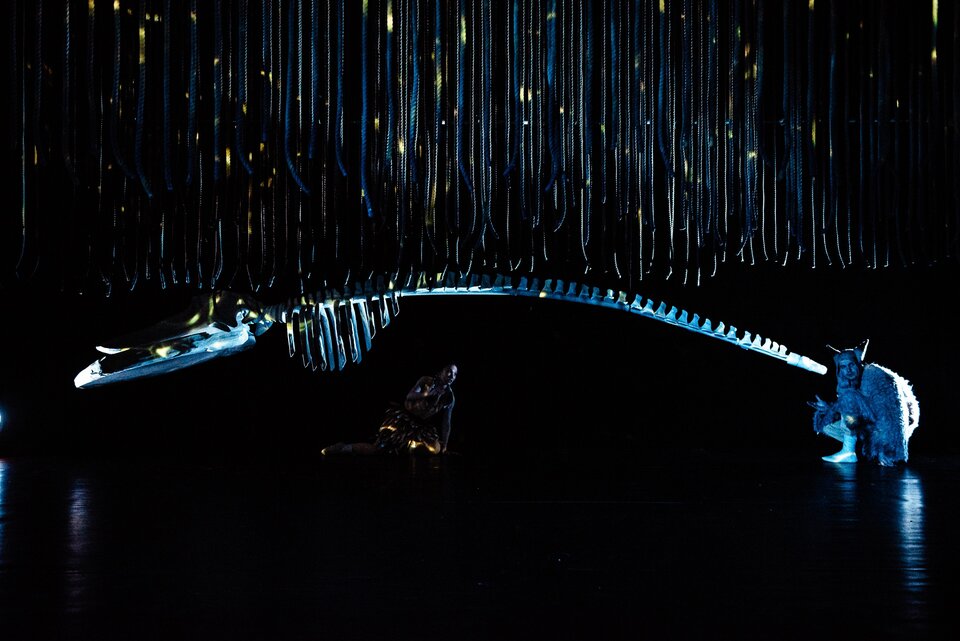 Остров голубых дельфинов