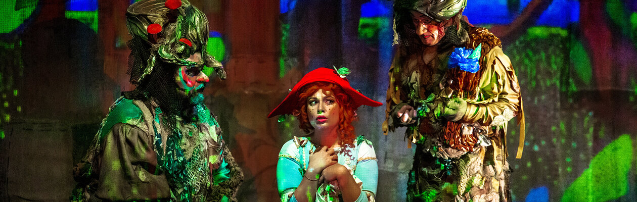 Красная Шапочка