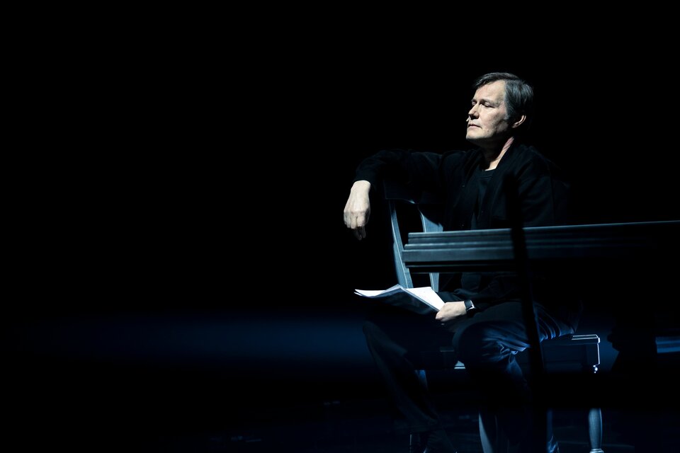 Как растут ананасы