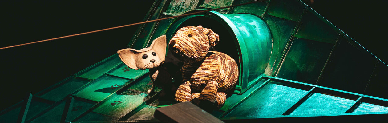 Котенок по имени Гав