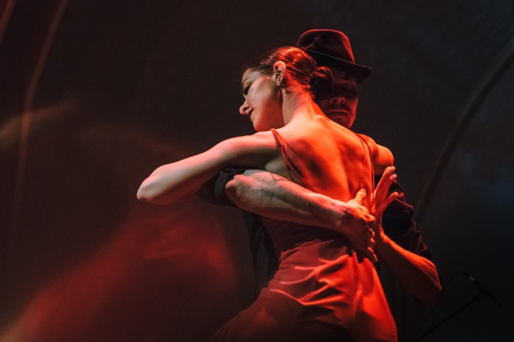 Avelina Tango Live