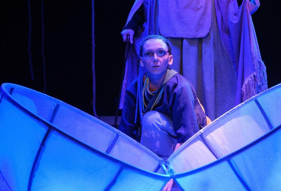 Край одуванчиков