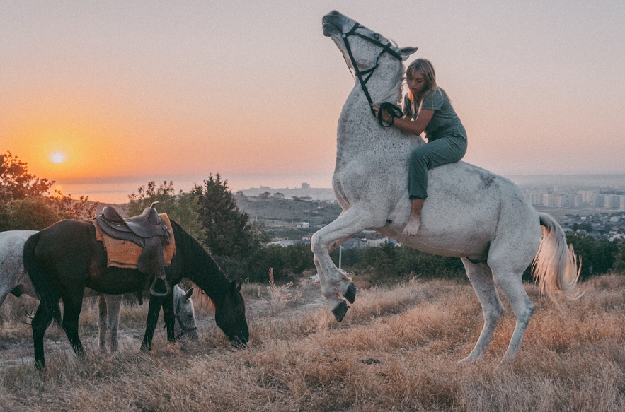 

Билеты на Прогулка на лошадях в Сочи (Прогулки на лошадях над Олимпийским парком и ущельем Кудепста)