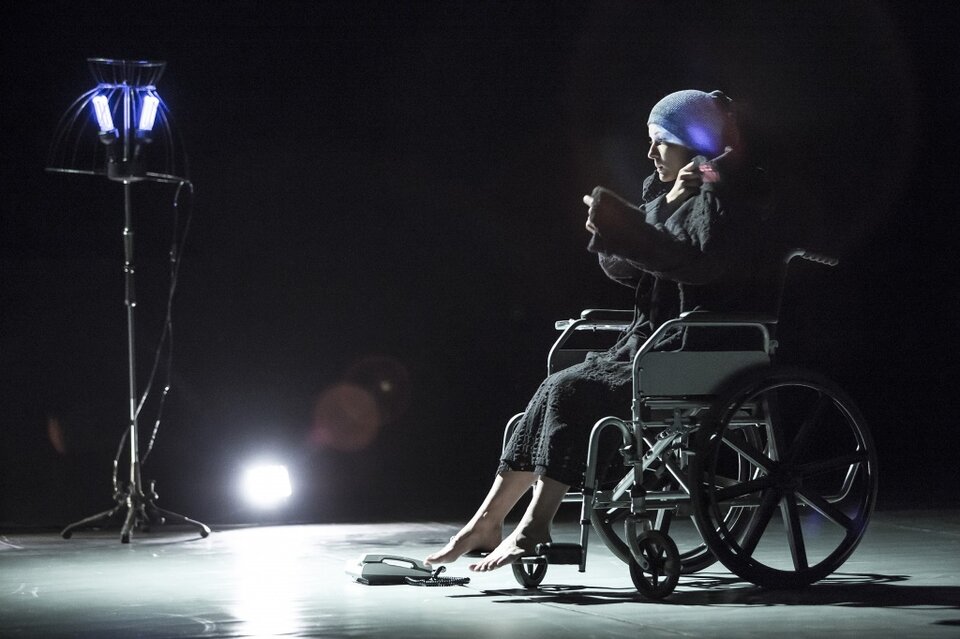 Я сотворил тебя