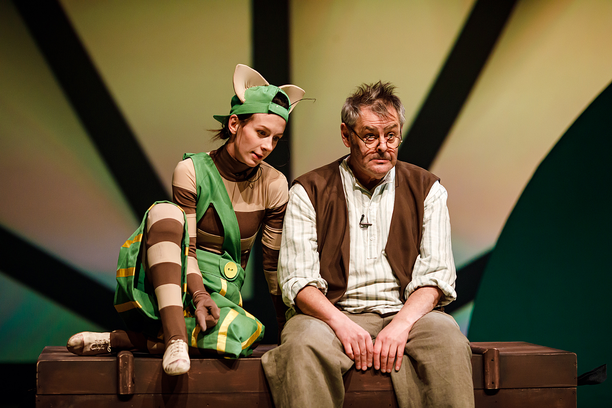 

Билеты на Петсон и Финдус (ТЮЗ им. Брянцева)