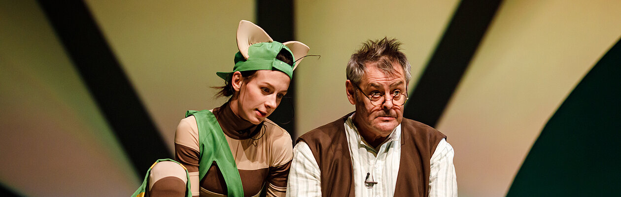 Петсон и Финдус