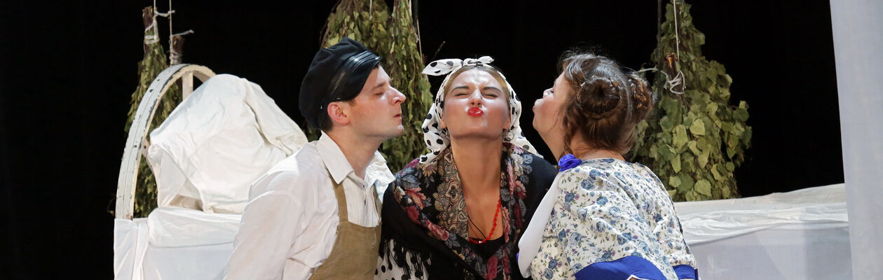 Грёзы любви, или Женитьба Бальзаминова