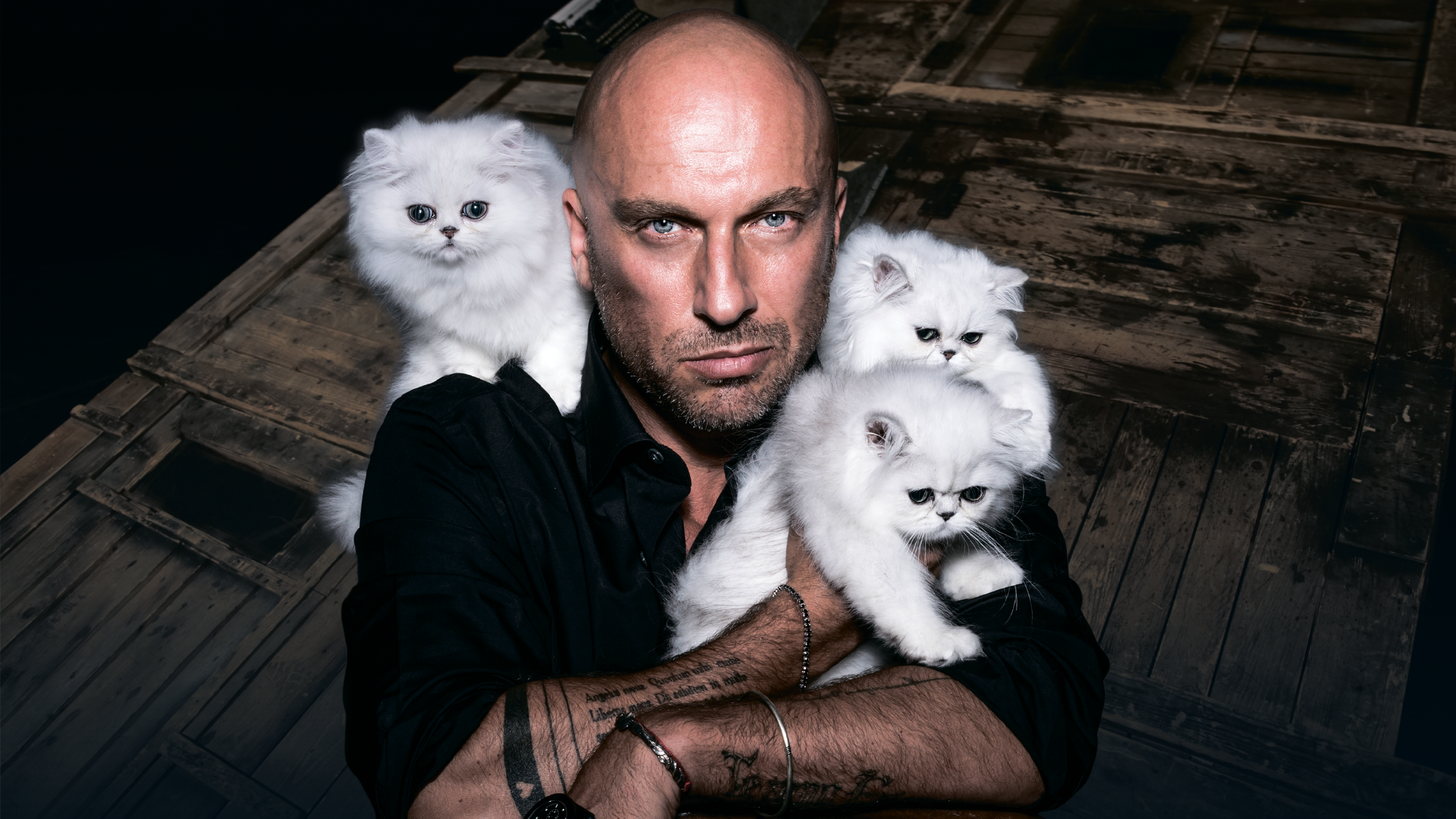 

Билеты на Кыся (Московский дворец молодёжи)