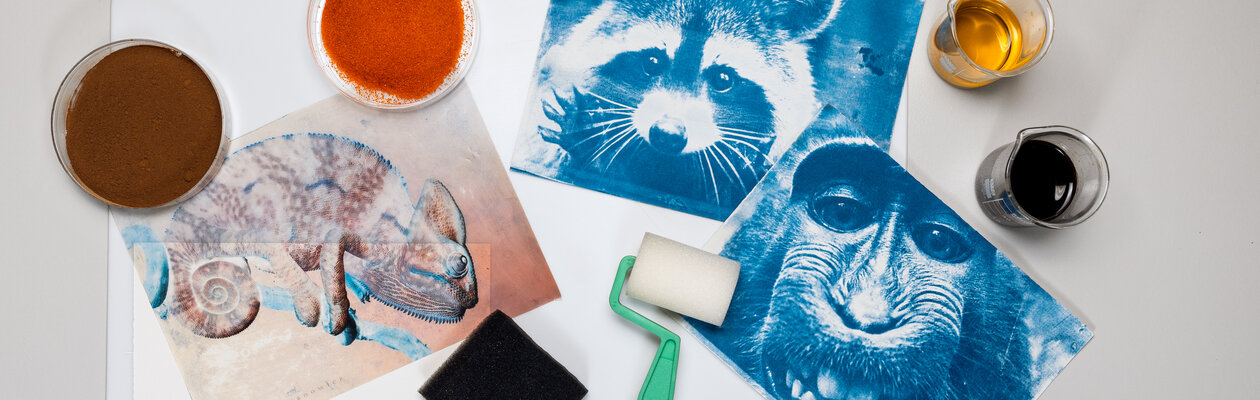 Фотография в синих тонах