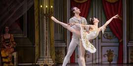 Спящая красавица