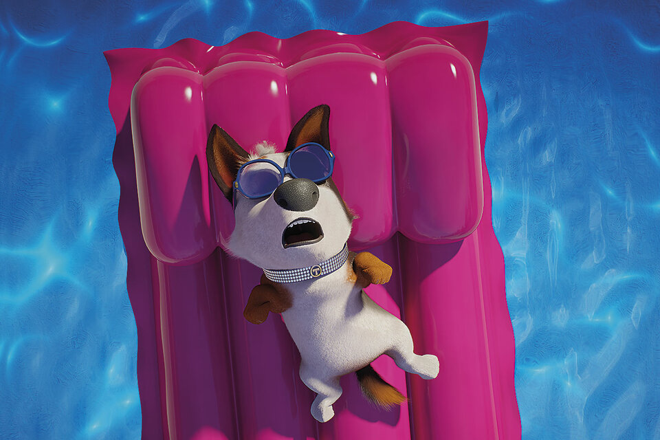 ����������� ��������