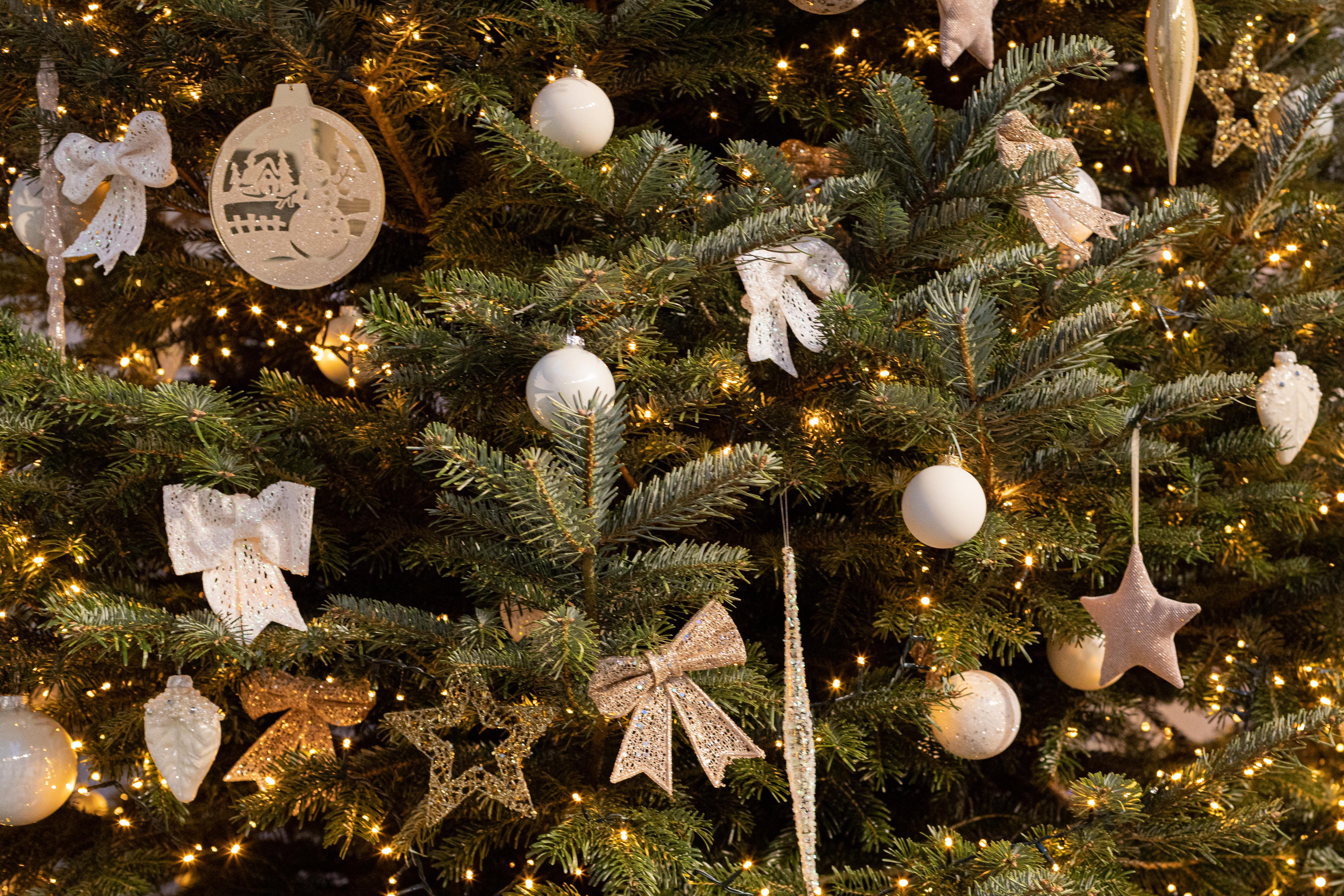 

Билеты на Стыдно быть несчастливым (Небосвод)