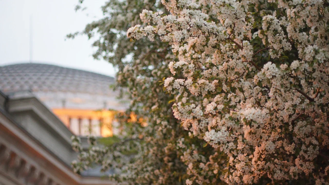 

Билеты на Славный май (НОВАТ)