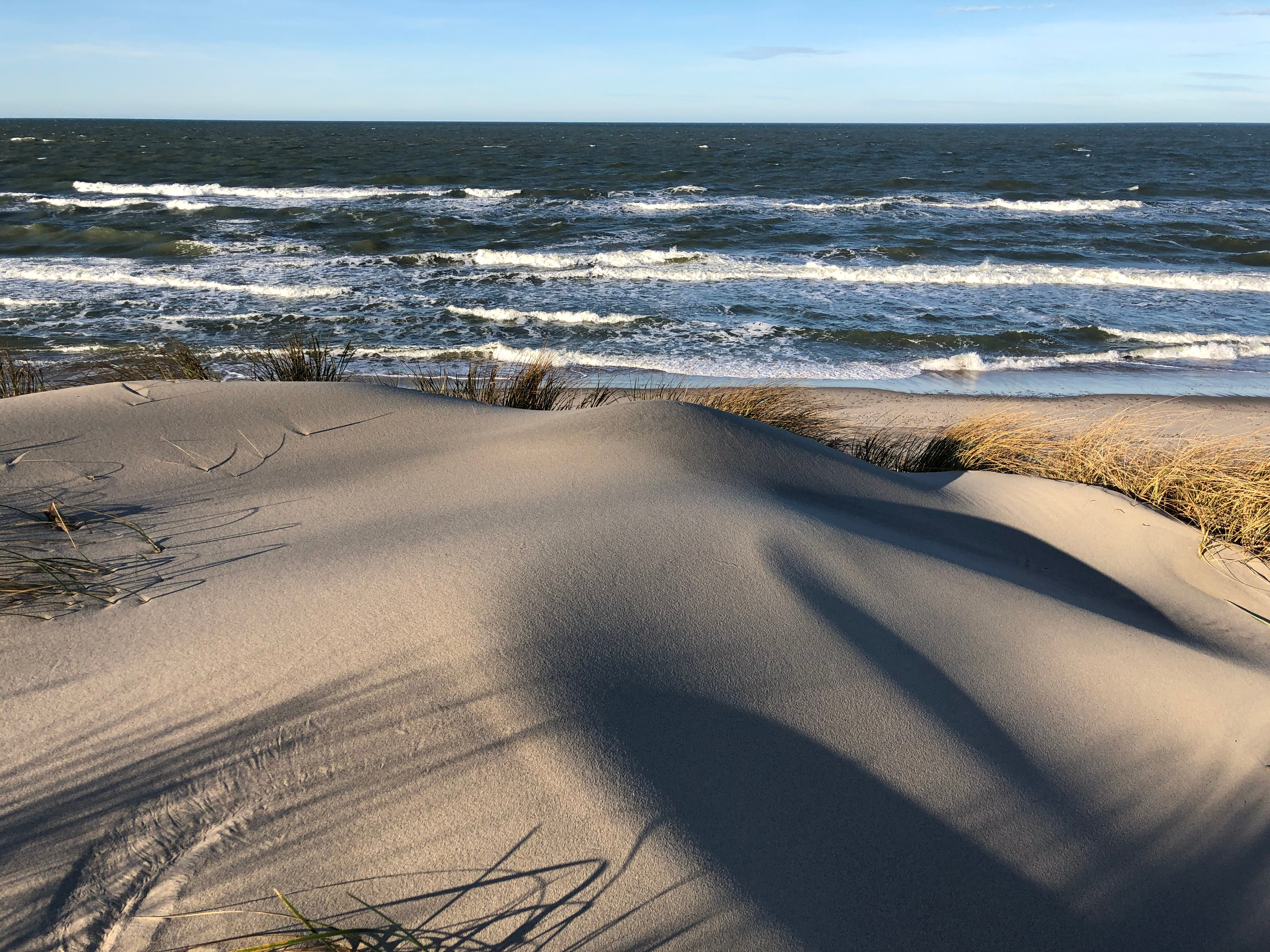 

Билеты на Куршская коса, Танцующий лес и г. Зеленоградск (Куршская коса, Танцующий лес и Зеленоградск)