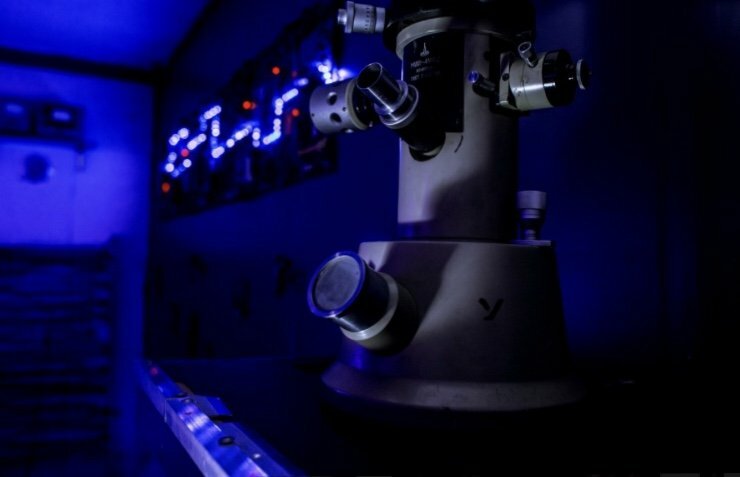 Возвращение Терминатора