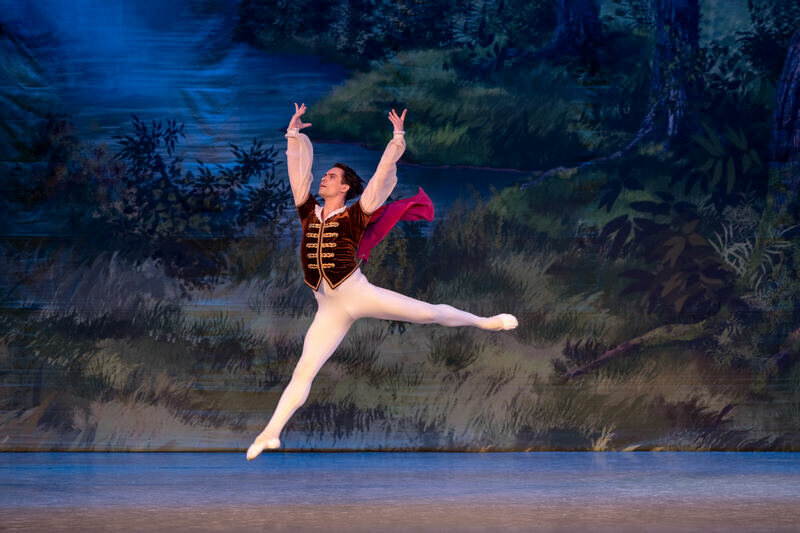 Спящая красавица