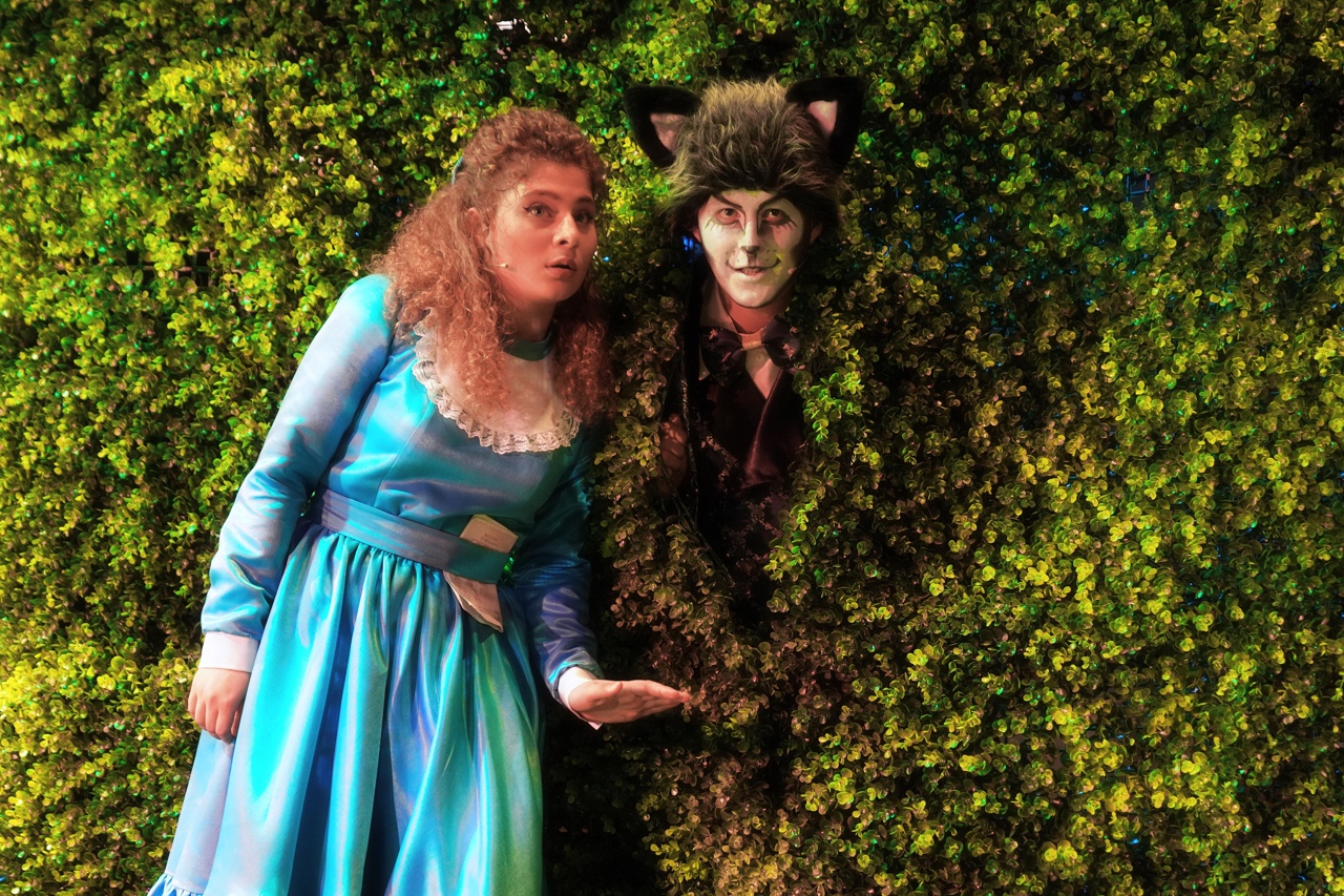 

Билеты на Алиса в стране чудес (Зимний театр)