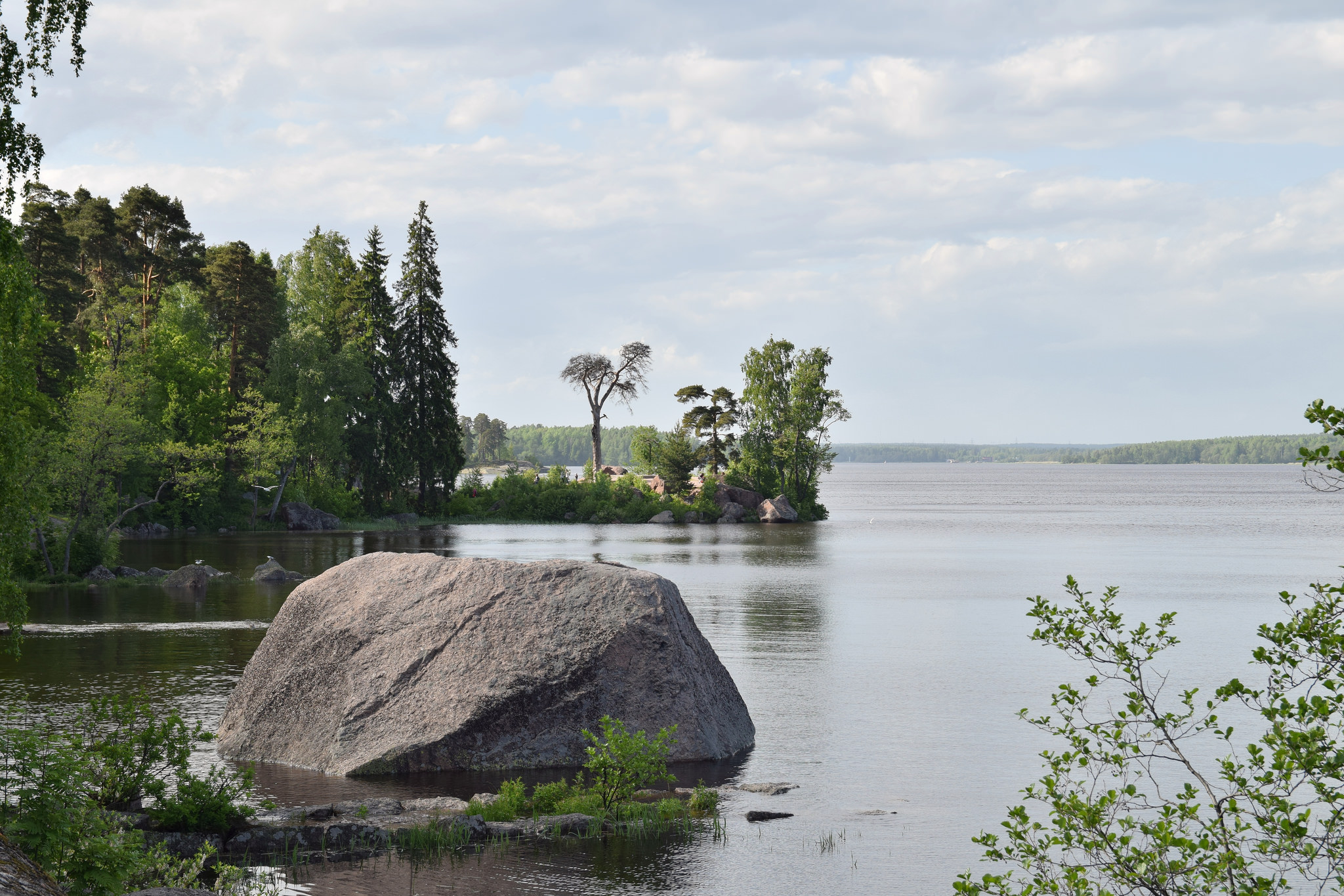 

Билеты на Ландшафтный парк Монрепо с личным гидом (Ландшафтный парк Монрепо)