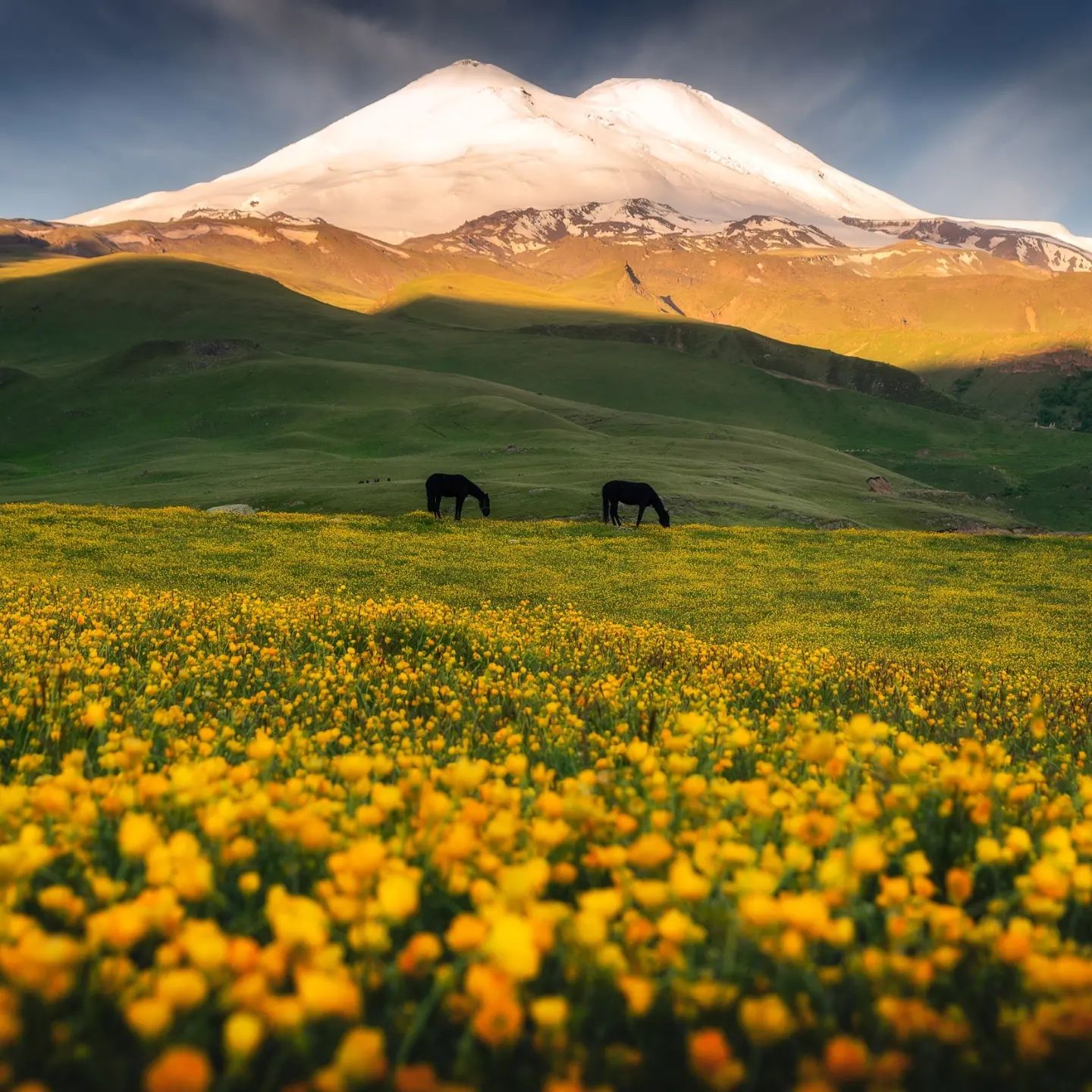 

Билеты на Ущелье Джилы-Су и три водопада за один день (Ущелье Джилы-Су и три водопада за один день)