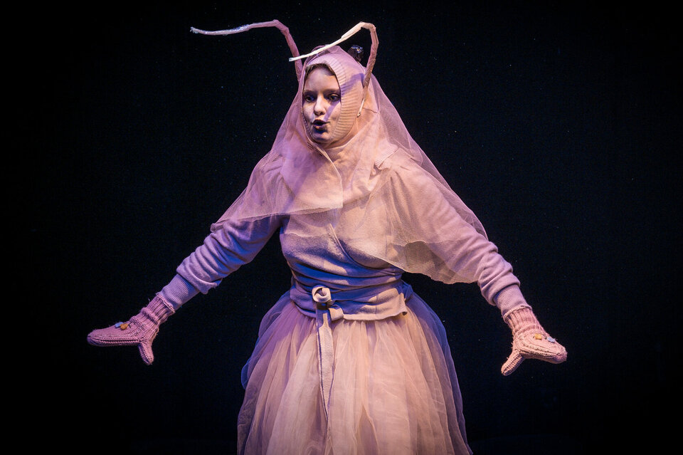 Рисовая собака