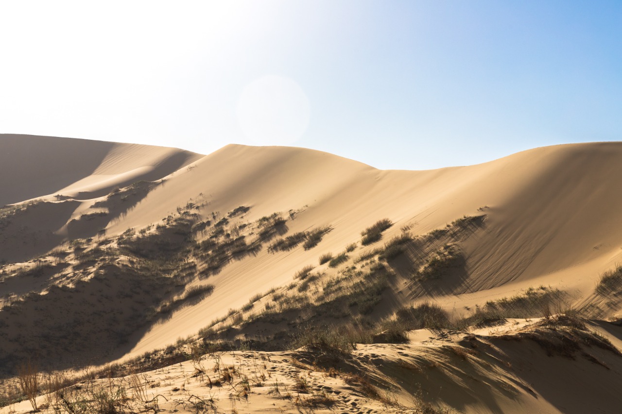 

Билеты на Бархан Сарыкум и прогулка на катере по Сулакскому каньону (Бархан Сарыкум и прогулка на катере по Сулакскому каньону)