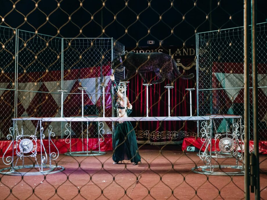 Империя хищников